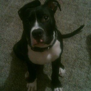 Meet your Posher, Jamie